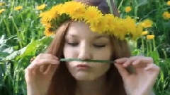 Alisa & Nastya