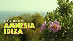 Amnesia Ibiza 2010