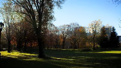 Fall