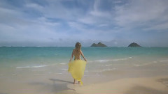 Hawaiian reflection