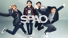 SPAO DUFFLE COAT