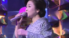 矢车草2015