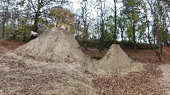 Lymington Trails