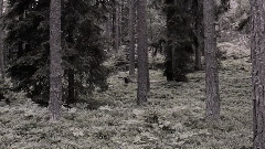 Ylva & Linda