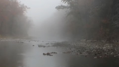 November