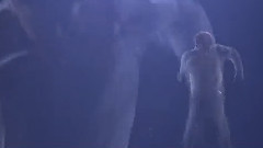 Baby Don't Cry