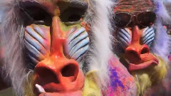 Holi