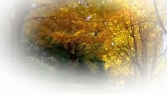 一个人的时光