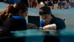 影视原声 - 电影<海豚的故事2>预告片1(1)