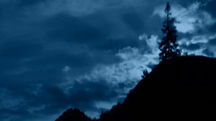 Sad Moonlight