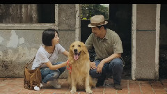 电影<一切都好>终极版预告片(贾樟柯彩蛋)