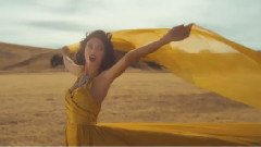Wildest Dreams