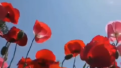 想着你的好