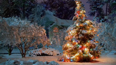 Oh Christmas Tree