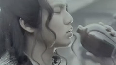拂袖