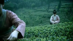 禅茶一味