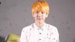 Newsade EXO-MAS