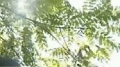 弥渡山歌