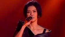 孙燕姿 - 遇见 现场版