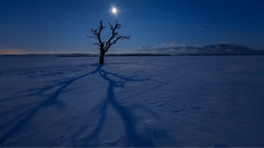 Nocturne