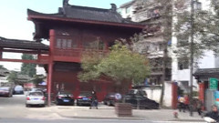 白兰鸽