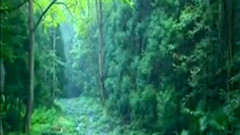 送情郎