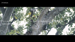 Almost Lover(无缘的爱人)