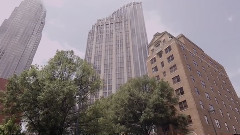 多伦多