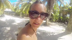 Dominican Damage