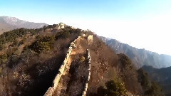 Porket And The Wall