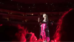 Rebel Heart(巡回演唱会饭拍版)