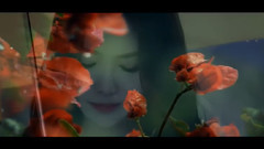 Tears 眼泪