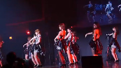 predia - Crazy Cat
