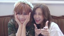 Apink - Apink Diary2 Special Adieu 2015