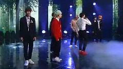 Butterfly & RUN