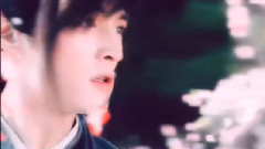 幻听