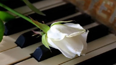 My Funny Valentine