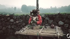 Deep Jungle Trip