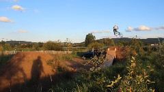 Back in summer