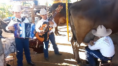 El Sube Y Baja