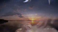 Mirage