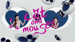 Cat And Mouse
