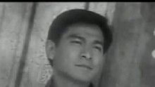 刘德华 - 天意