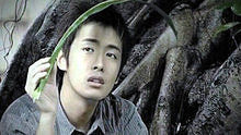 李逸朗 - 李逸朗《榕树》
