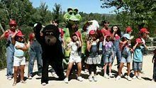 Grupo Encanto《I Due Leocorni》