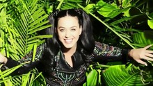 Roar 2013SNL现场版