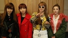 2NE1北京演唱会15秒ID宣传片