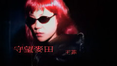 守望麦田