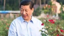 已下线