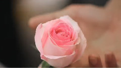 Very สบาย